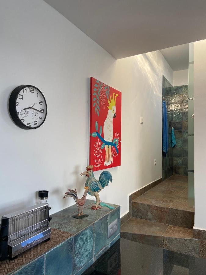 Villa Oasis La Paz - Acaymo Loft - Adults Only - Puerto de la Cruz  Zewnętrze zdjęcie