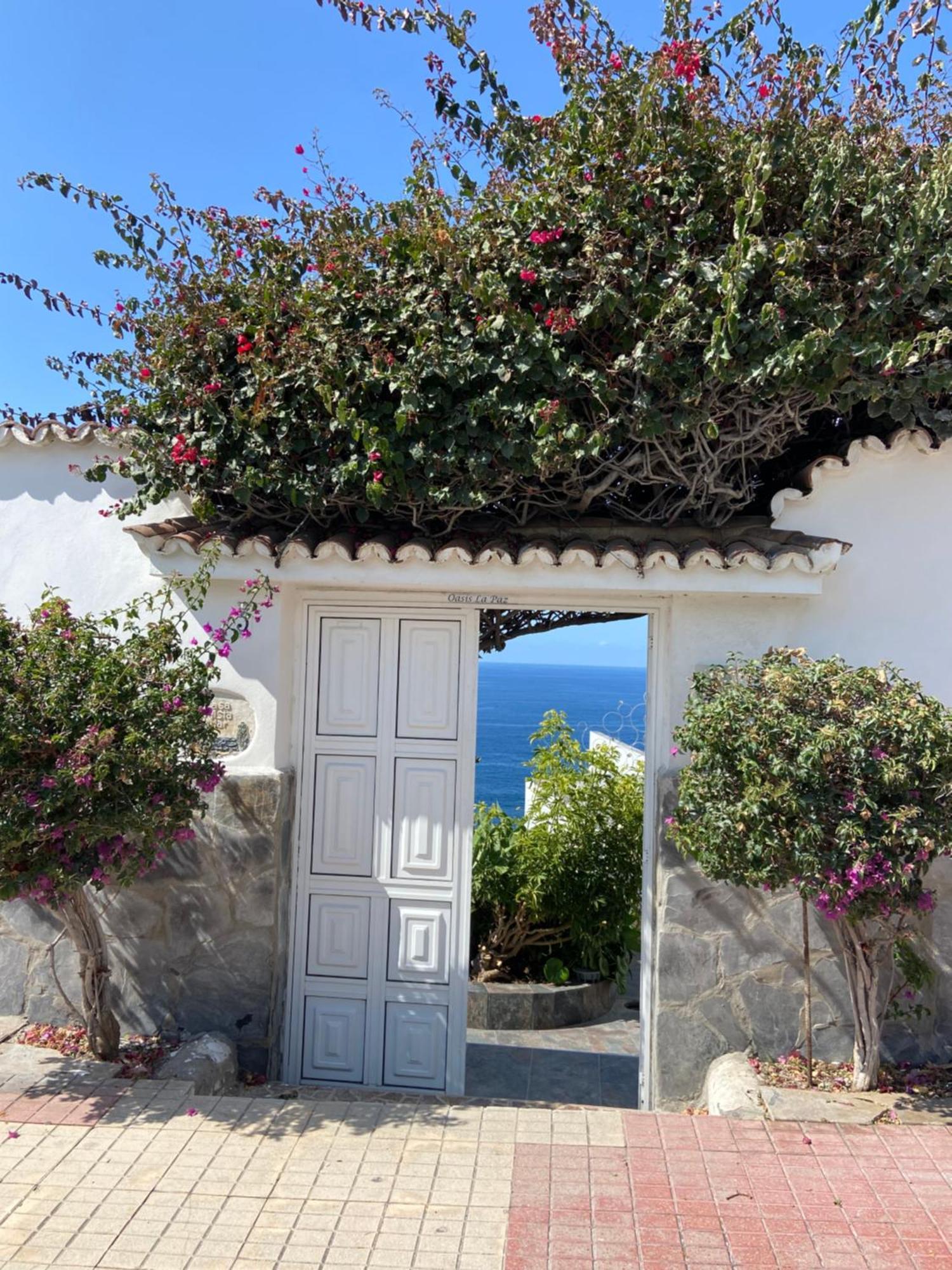 Villa Oasis La Paz - Acaymo Loft - Adults Only - Puerto de la Cruz  Zewnętrze zdjęcie