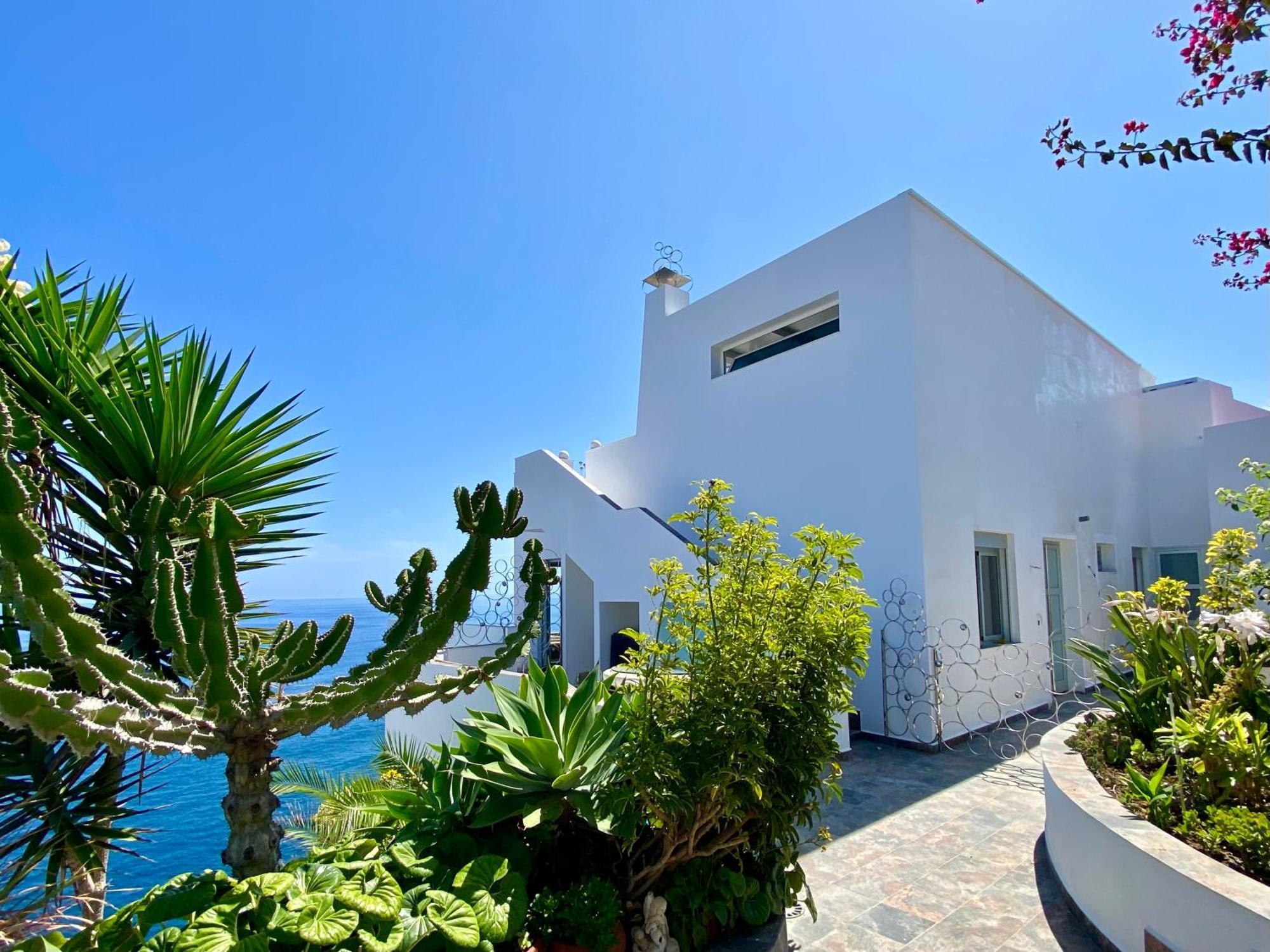Villa Oasis La Paz - Acaymo Loft - Adults Only - Puerto de la Cruz  Zewnętrze zdjęcie